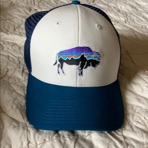 Patagonia Hat